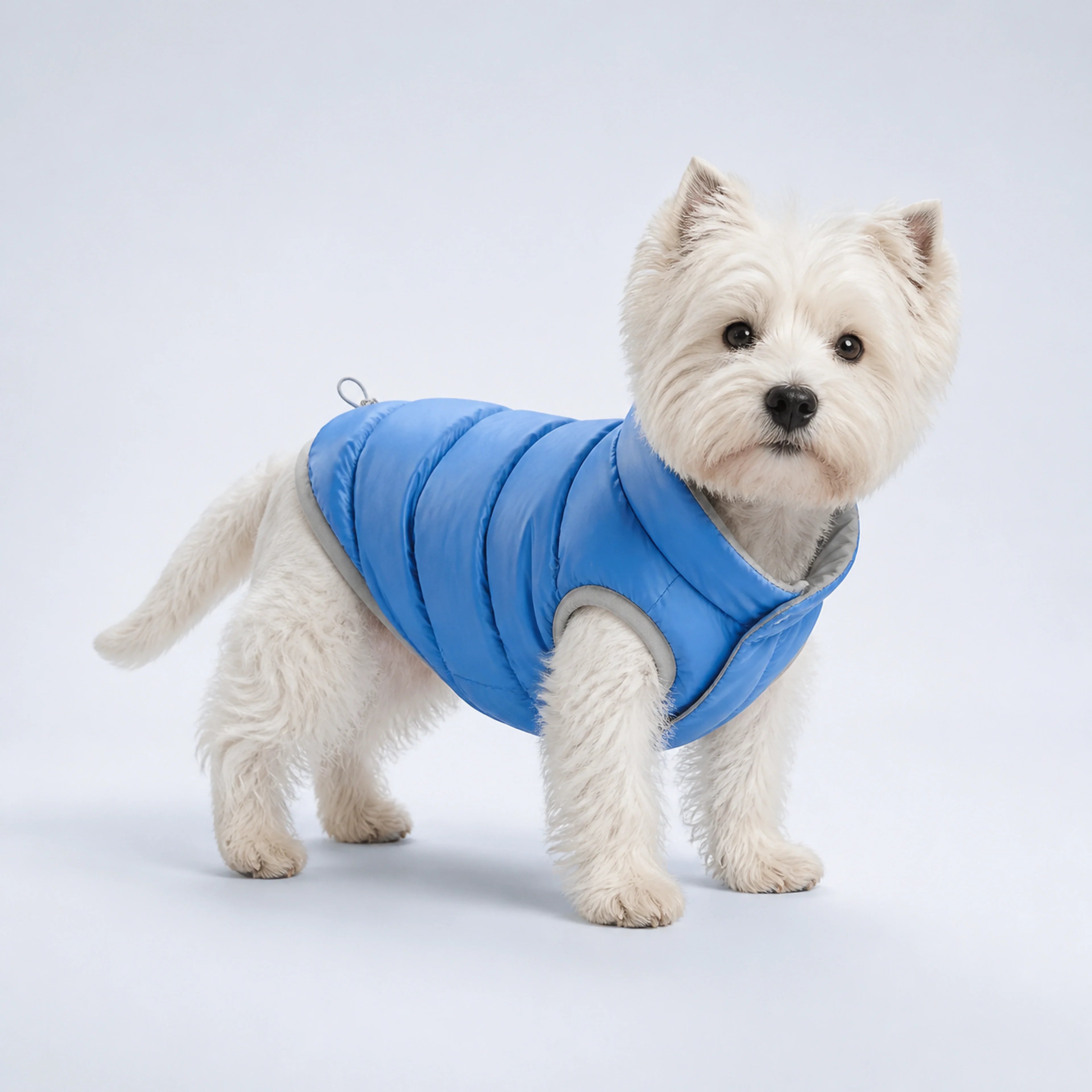 Reversible Blue & Silver Dog Puffer Jacket – 5 Sizes | ALDERKIN