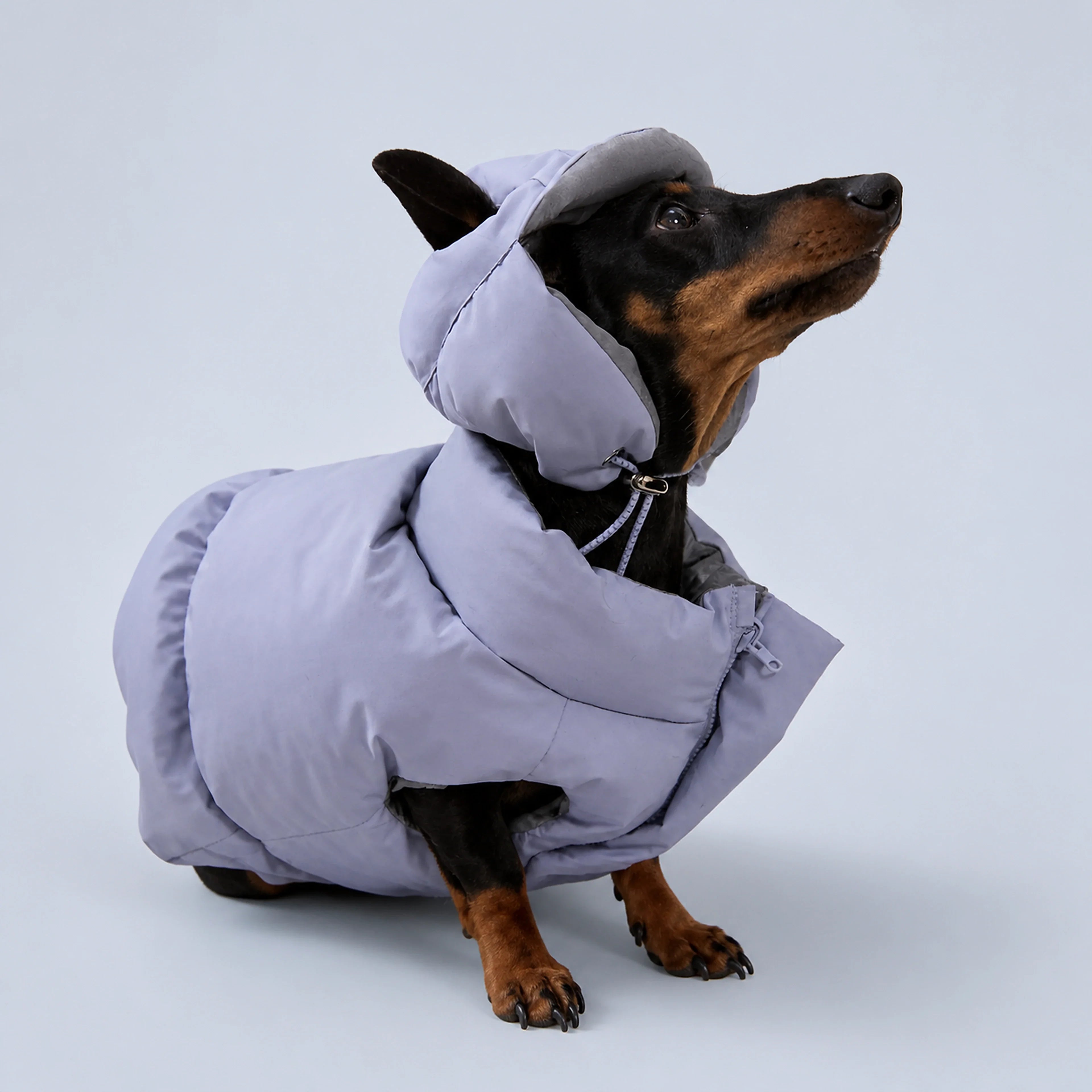 Reversible Blue & Silver Puffer Hood for Dogs – 3 Sizes | ALDERKIN