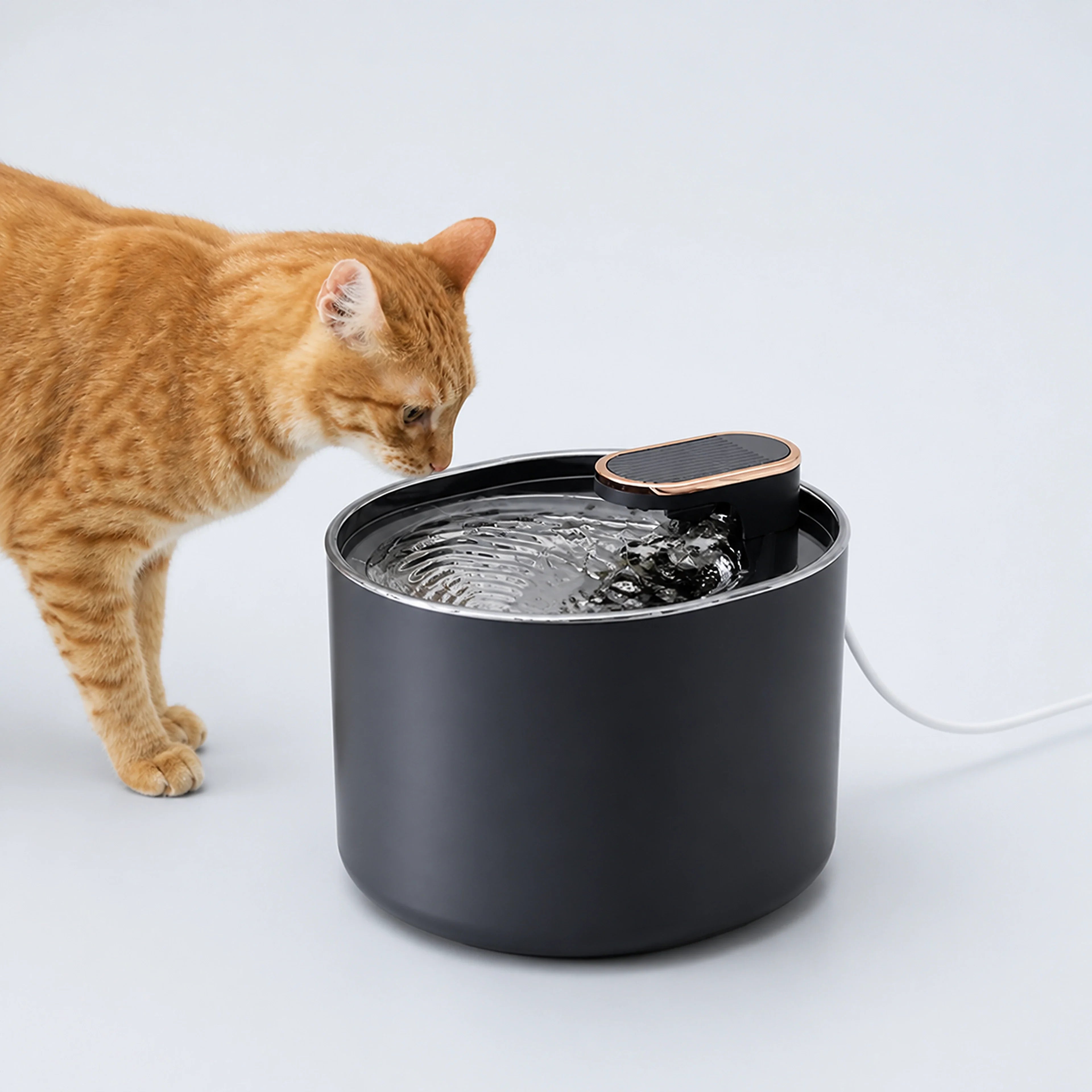 Round Pet Water Fountain with Filter Option – Black or White | ALDERKIN