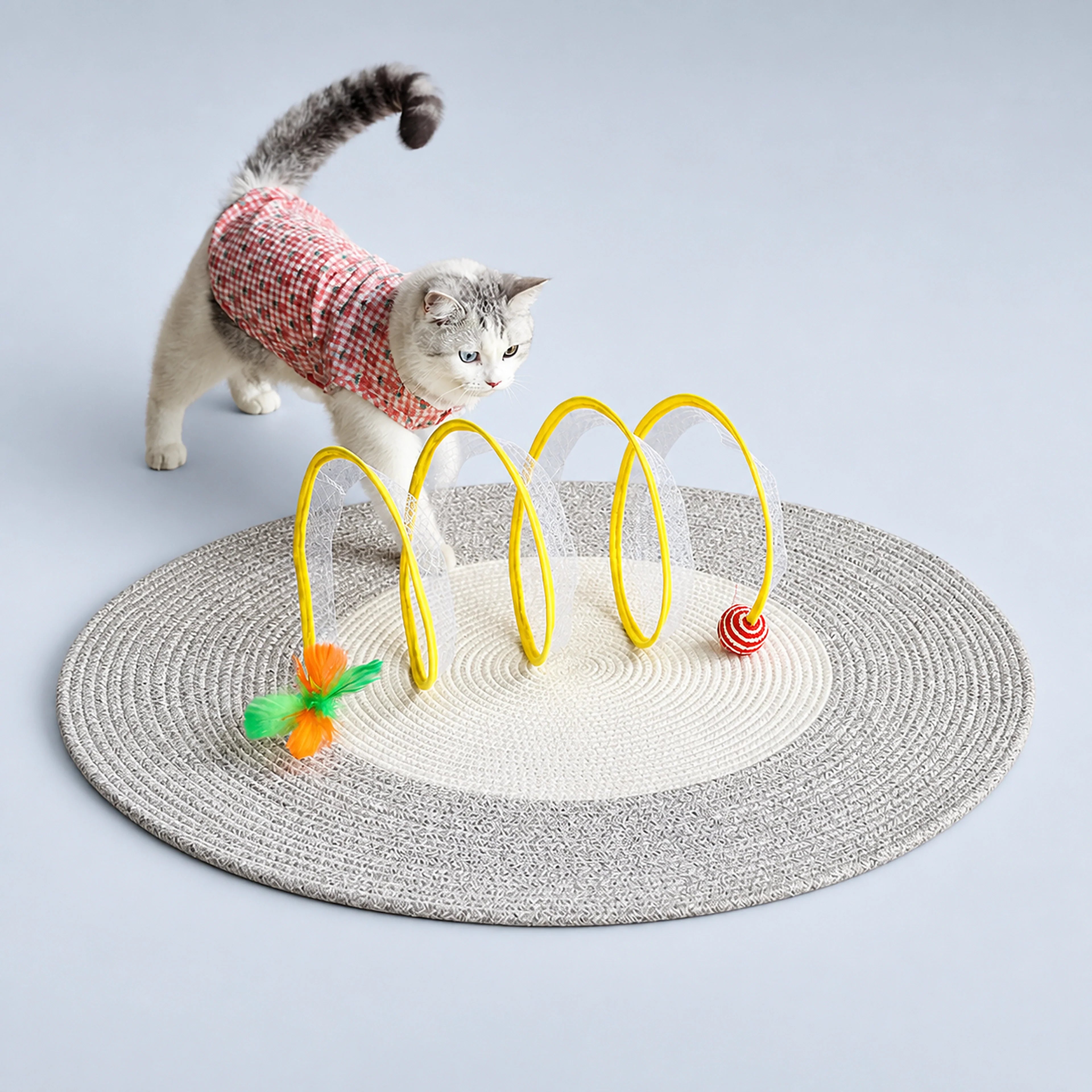 Spiral Cat Track Toy with Ball and Feather – Single or Multi-Pack | ALDERKIN