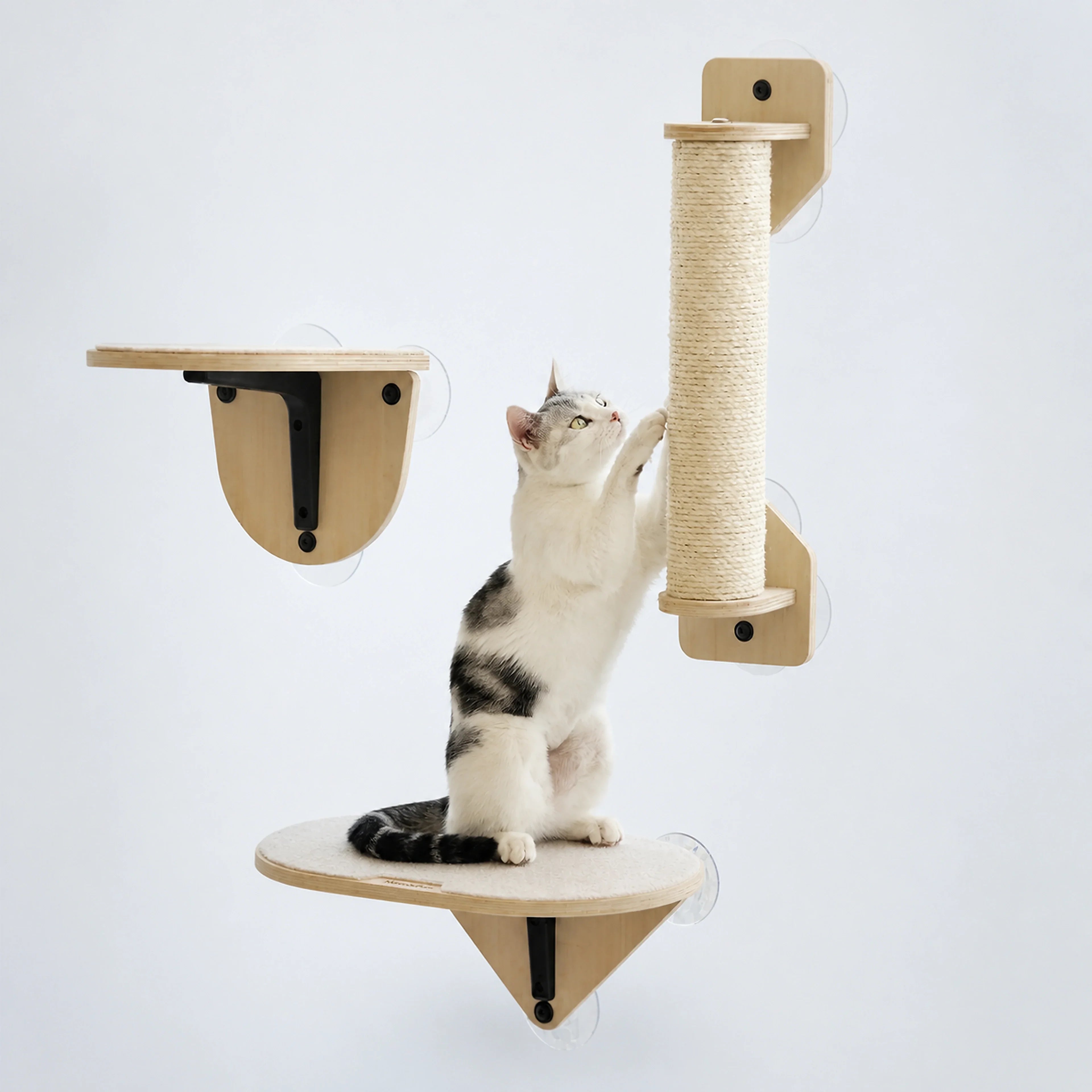 Suction Cup Window Cat Shelves & Scratching Post – 3 Styles | ALDERKIN