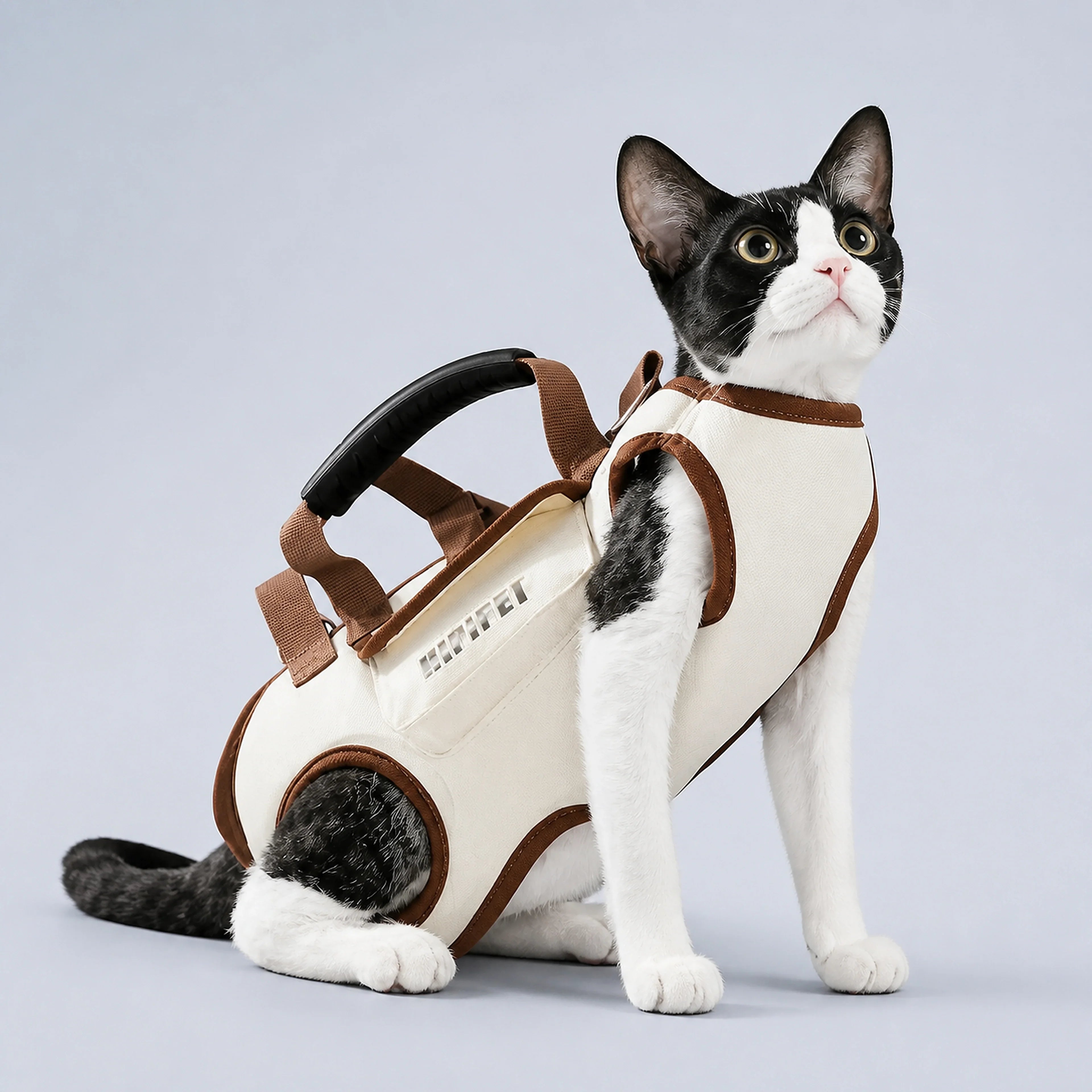 Supportive Pet Carrier Vest with Top Handle – 2 Colors, 4 Sizes | ALDERKIN