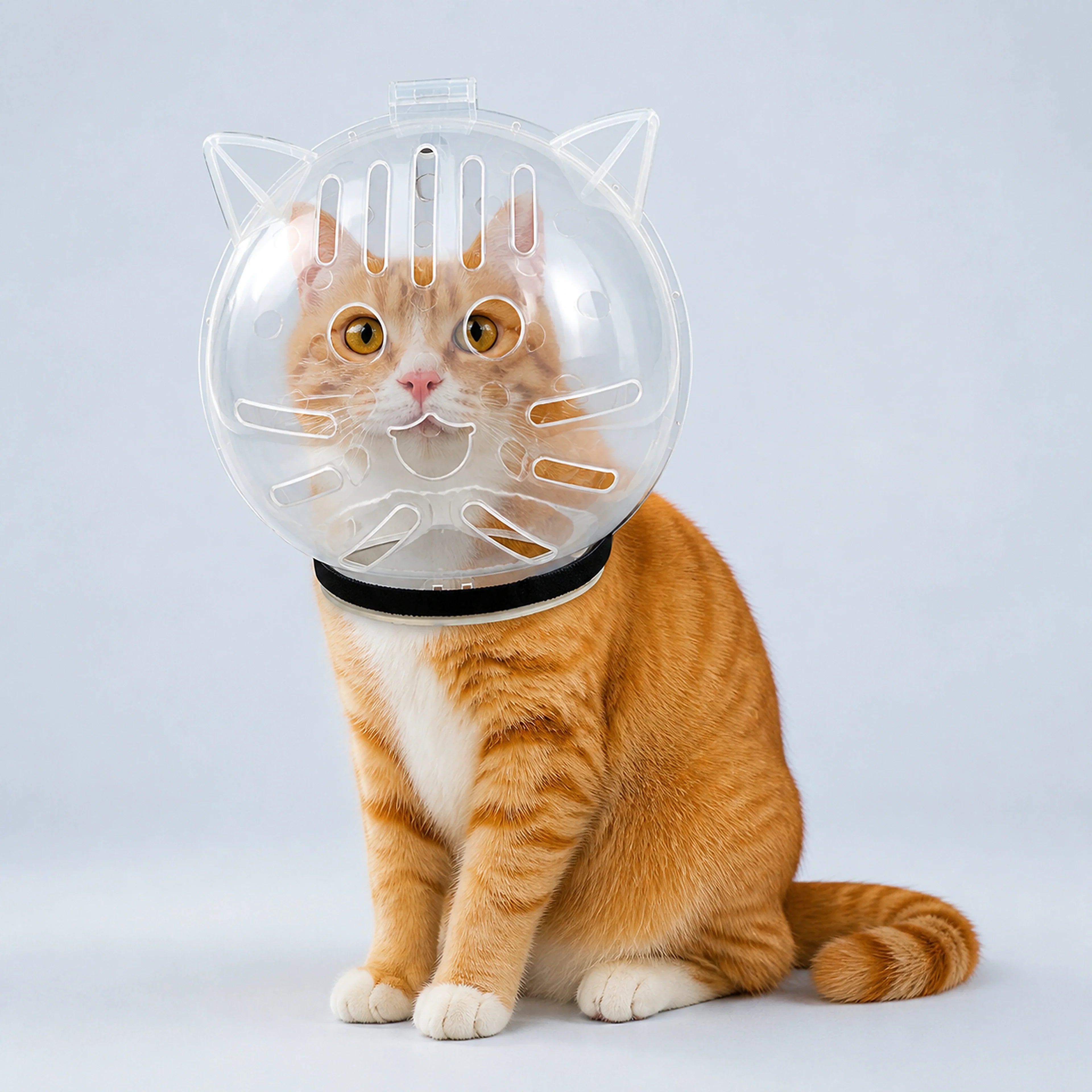 Transparent Breathable Cat Grooming Hood – M to XL | ALDERKIN