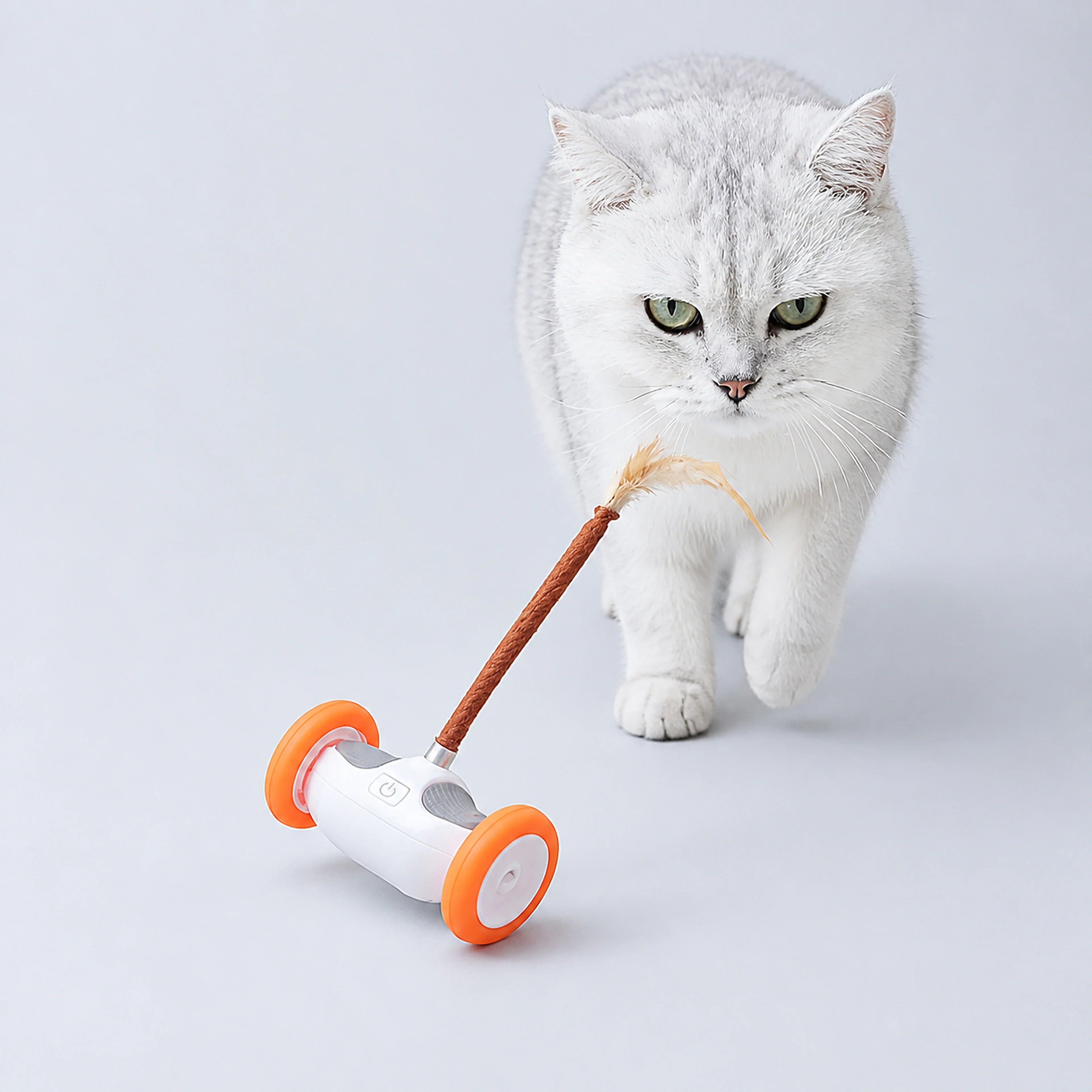 USB-Rechargeable Moving Cat Toy with Tail | ALDERKIN
