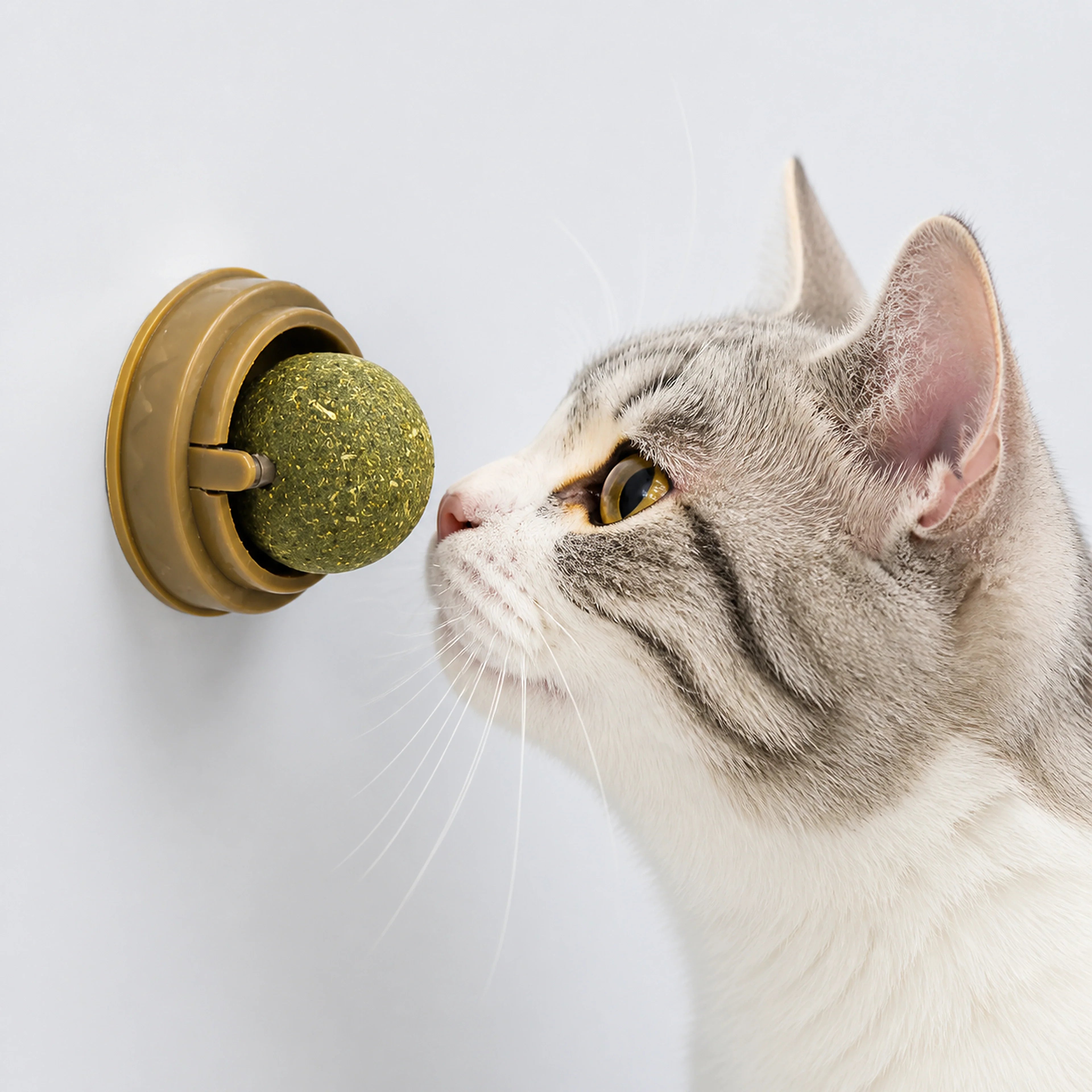 Wall-Mounted 360° Rotating Catnip Ball – 1 or 3 Pack | ALDERKIN